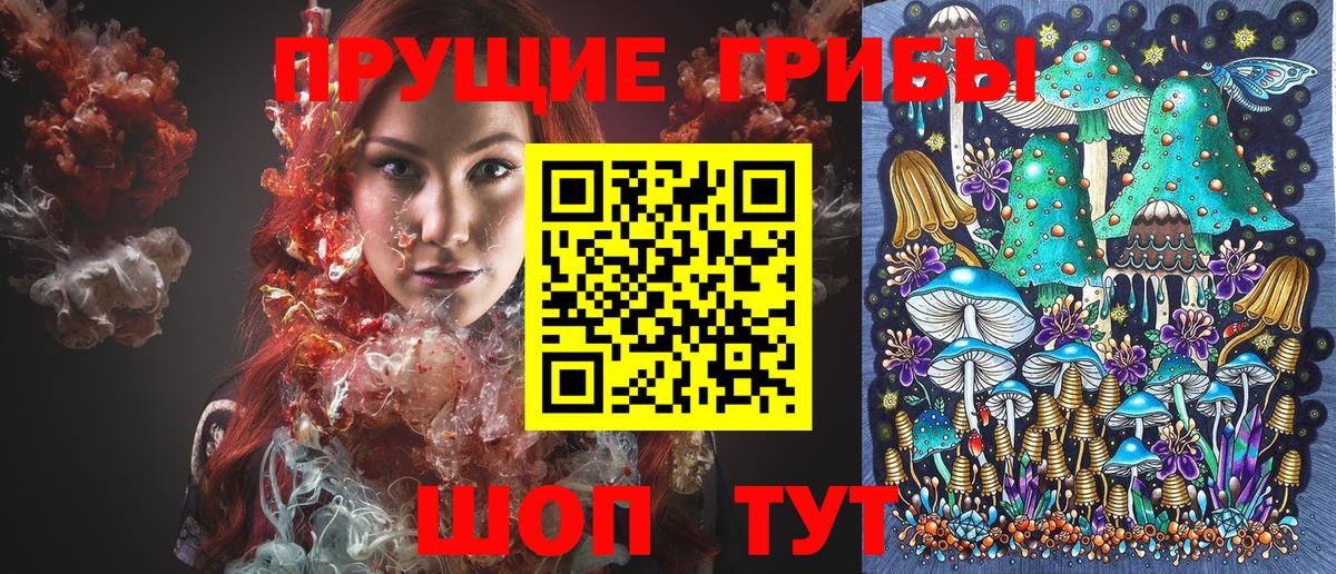 Долгопрудный  Галлюциногенные грибы Psilocybine cubensis  Вход с VPN  Галлюциногенные грибы GOLDEN TEACHER 